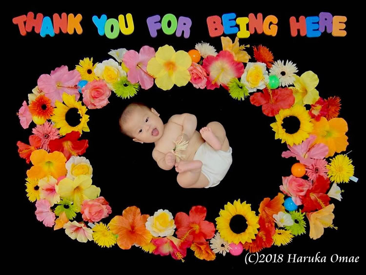 6月 夏のフラワーのおひるねアート