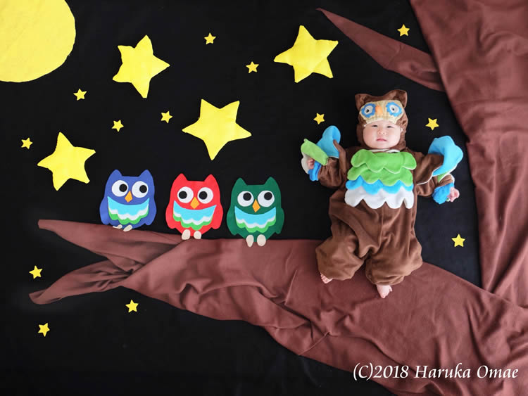 3月 ふくろうさんのおひるねアート