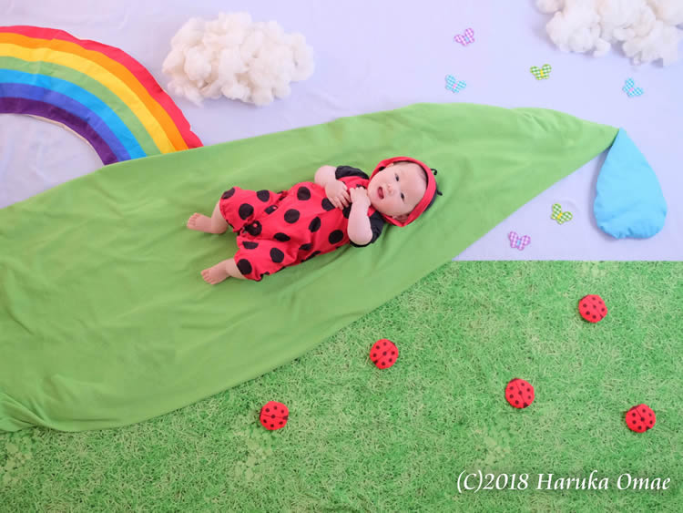 4月 てんとう虫さんのおひるねアート