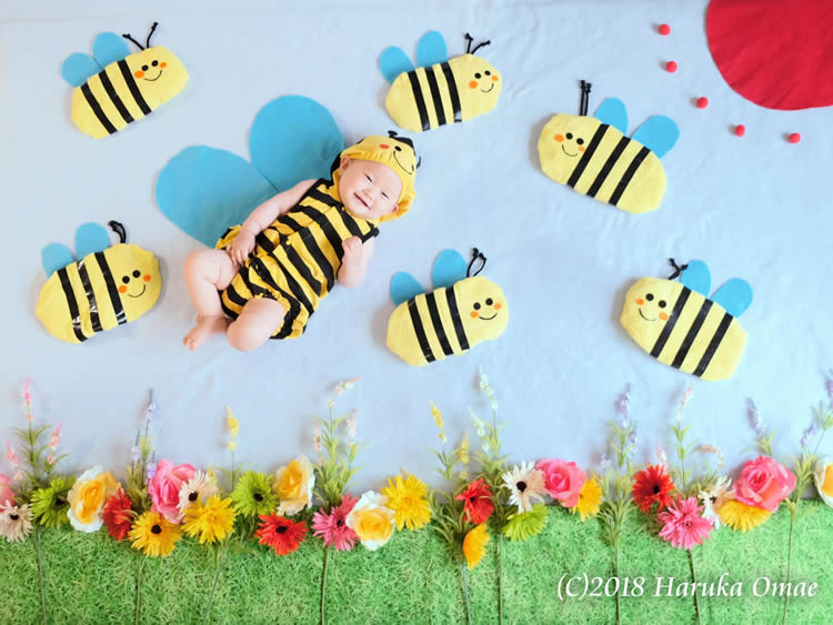 5月 ハチさんのおひるねアート